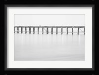 Support Fine Art Print