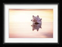 King of the Beach Fine Art Print