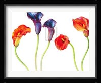 Rosie Sanders - Purple and Mango [Ed 99] Fine Art Print