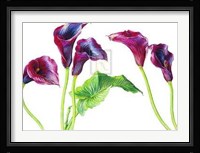 Rosie Sanders - Deep Purple [Ed 99] Fine Art Print