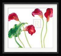 Seeing Red [Ed 99] Fine Art Print