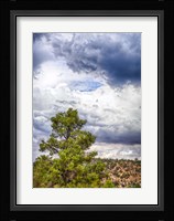 Big Beartree Fine Art Print