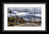 Palm Spring Framed Print