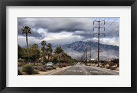 Palm Spring Framed Print