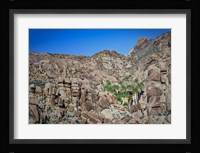 Desert Oasis Fine Art Print