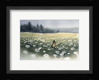 Daisy Field Fine Art Print