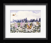 Wild Flowers & Butterflies Fine Art Print