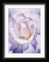 Aurora Fine Art Print