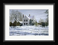 Fallen Leaves Fine Art Print