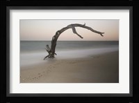 Anthropomorph Fine Art Print