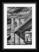 Zither Fine Art Print