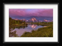 Magenta Sunrise  Oxbow Bend Fine Art Print