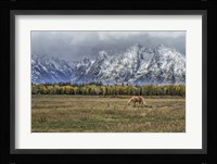 Fine Dining In The Tetons Fine Art Print