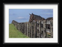 Hanging Out Fine Art Print