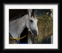 Pre-Race Wheaties Fine Art Print