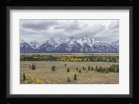 Teton Fall Colors Fine Art Print