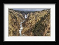 Yellowstone Grand Canyon - Lower Falls Framed Print