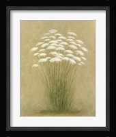 Floral D Framed Print