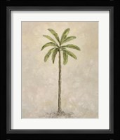 Palm Tree 2 Framed Print