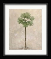 Palm Tree 3 Framed Print