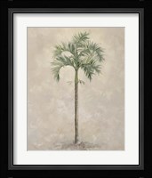 Palm Tree 4 Framed Print
