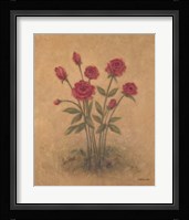 Bunch of Red Roses 2 Framed Print
