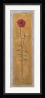 Tall Red Poppy W/Bud Right Framed Print