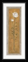 Tall White Rose Framed Print