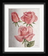 American Classic Rose Framed Print