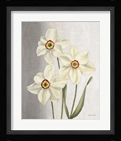 Spring Narcissus Framed Print