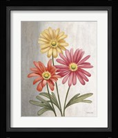 Gerber Daisies Fine Art Print