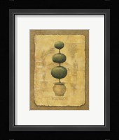 Boxwood Fine Art Print