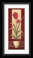 Tulips In Pot Fine Art Print
