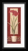 Red Flower In Pot Framed Print