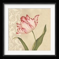 Cream Tulip Fine Art Print