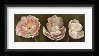 Summer Blossoms 2 Framed Print