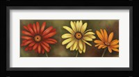 Summer Blossoms 4 Framed Print