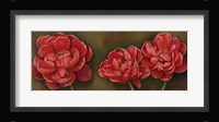 Summer Blossoms 1 Framed Print
