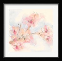 Pink Blossoms II Framed Print