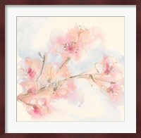 Pink Blossoms II Fine Art Print