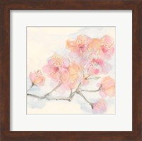 Pink Blossoms III Fine Art Print