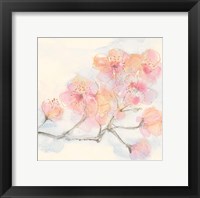 Pink Blossoms III Fine Art Print