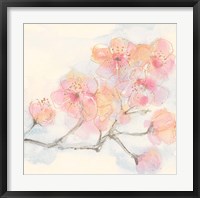 Pink Blossoms III Framed Print