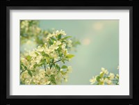 Spring Beauty I Fine Art Print