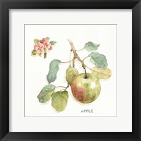 Orchard Bloom I Fine Art Print