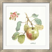Orchard Bloom I Fine Art Print