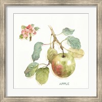 Orchard Bloom I Fine Art Print