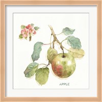 Orchard Bloom I Fine Art Print