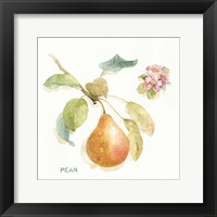 Orchard Bloom II Fine Art Print