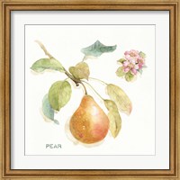 Orchard Bloom II Fine Art Print